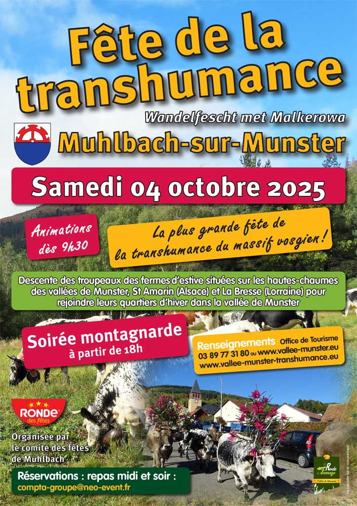 Transhumance de Muhlbach 2025