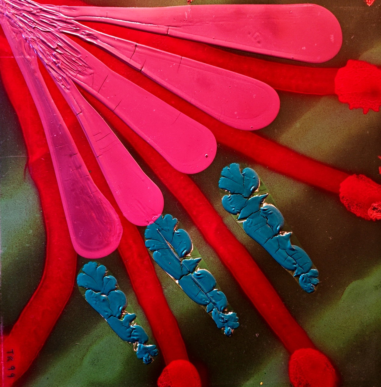 Lilly  (60 x 60 cm)      300€