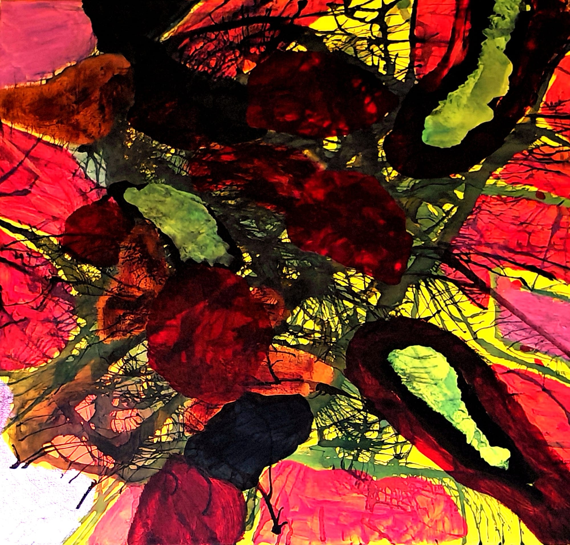 Julia       (50 x 50cm)       300€