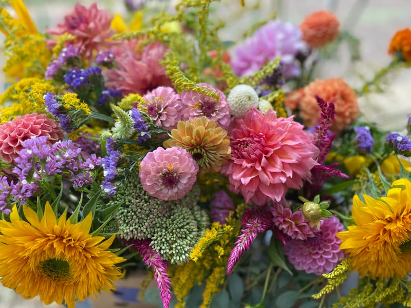 Happy Blooms!