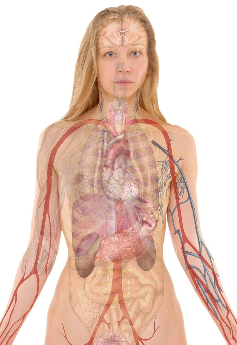 How do I “Maintain my Body” whilst having Depression?