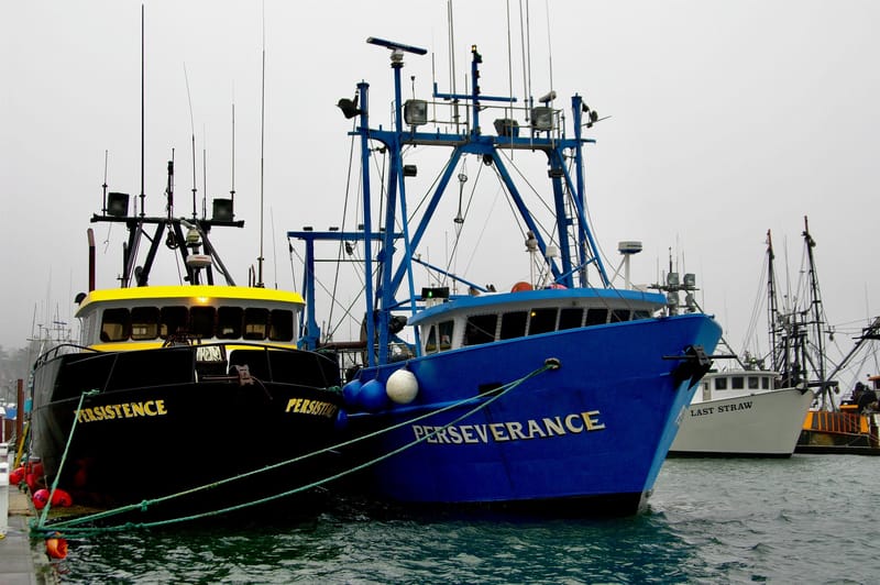 What is a “Lack of Perseverance”?