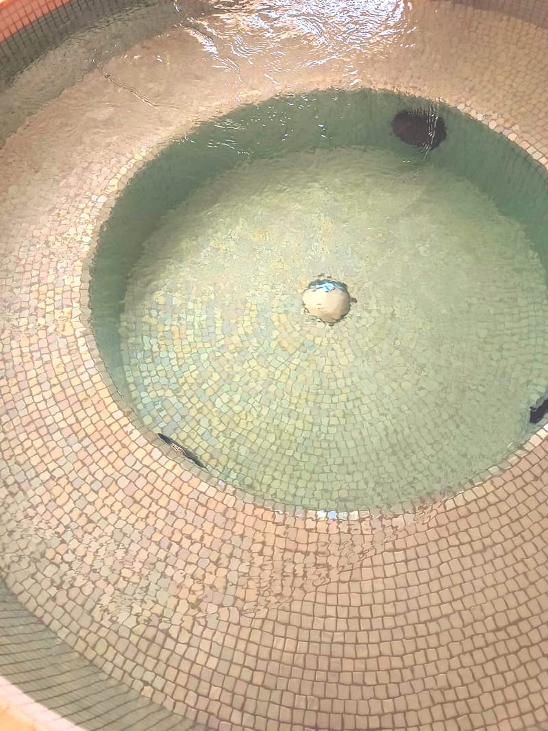 Piscina rezidentiala interioara si jacuzzi