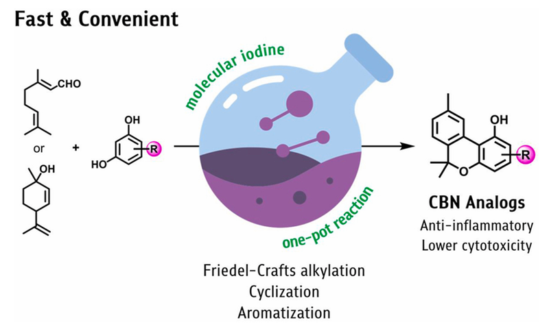 A facile one-pot iodine-mediated synthesis of cannabinol and derivatives, and their intestinal epithelial barrier protective effect