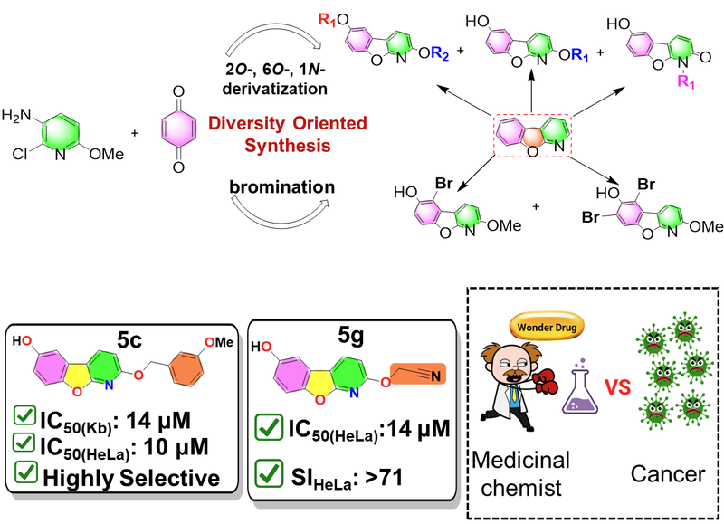 Diversity Oriented Strategy (DOS) for the Efficient Synthesis of Benzofuro[2,3-b]pyridine Derivatives with Anticancer Activity