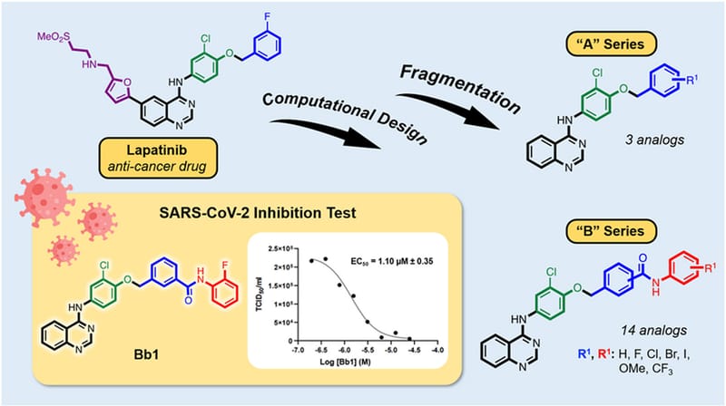 Design, Synthesis, and Antiviral Activity of Fragmented-Lapatinib Aminoquinazoline Analogs towards SARS-CoV-2 Inhibition