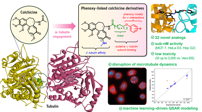Phenoxy-Linked Colchicine Derivatives: A Structure-Based Approach toward Enhanced Selectivity and α-Tubulin Interaction