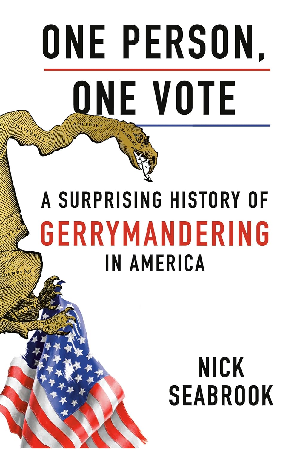 Nick Seabrook, One Person, One Vote: A Surprising History of Gerrymandering in America