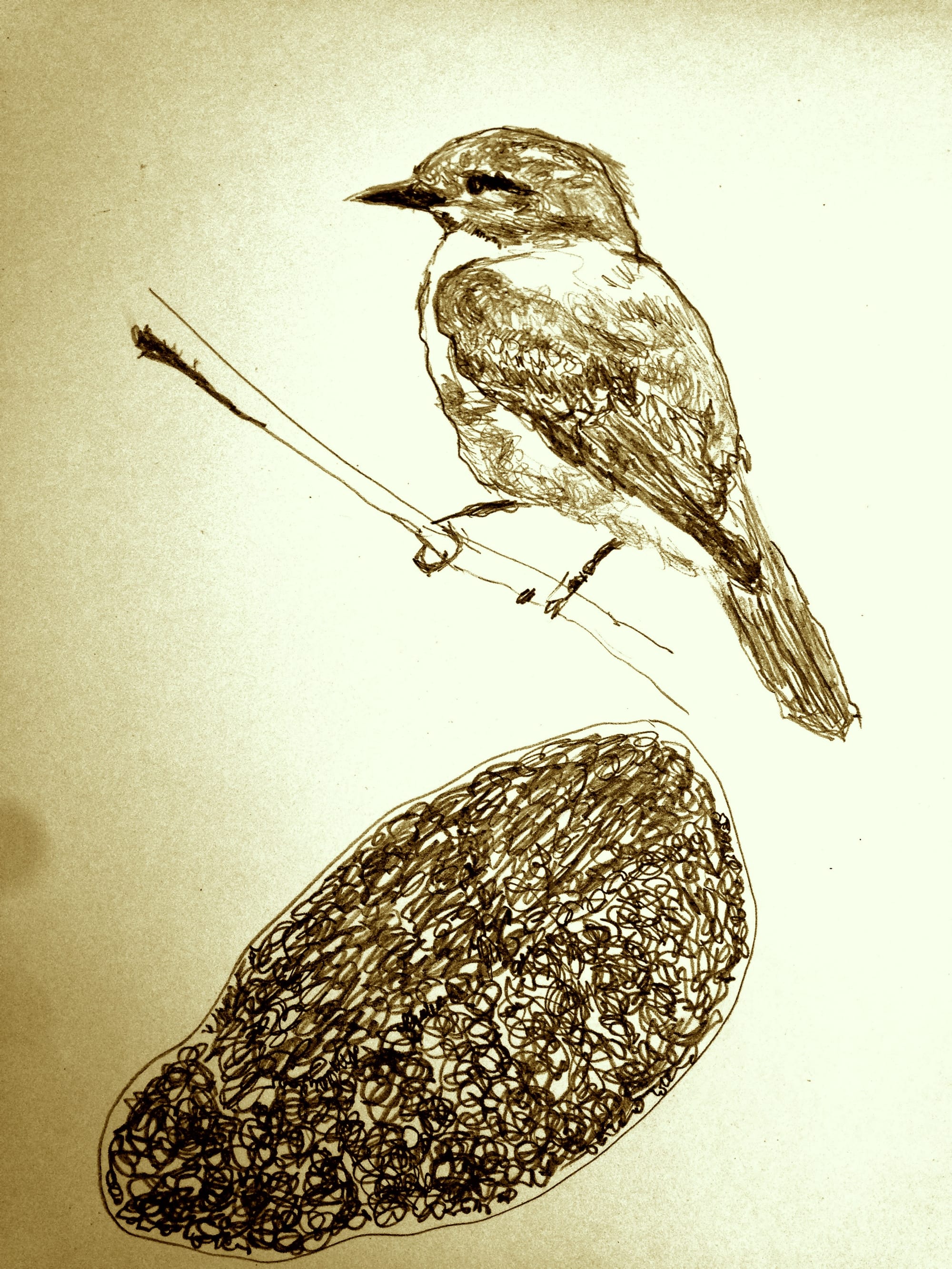 Garden Of Earthly. A Novel.