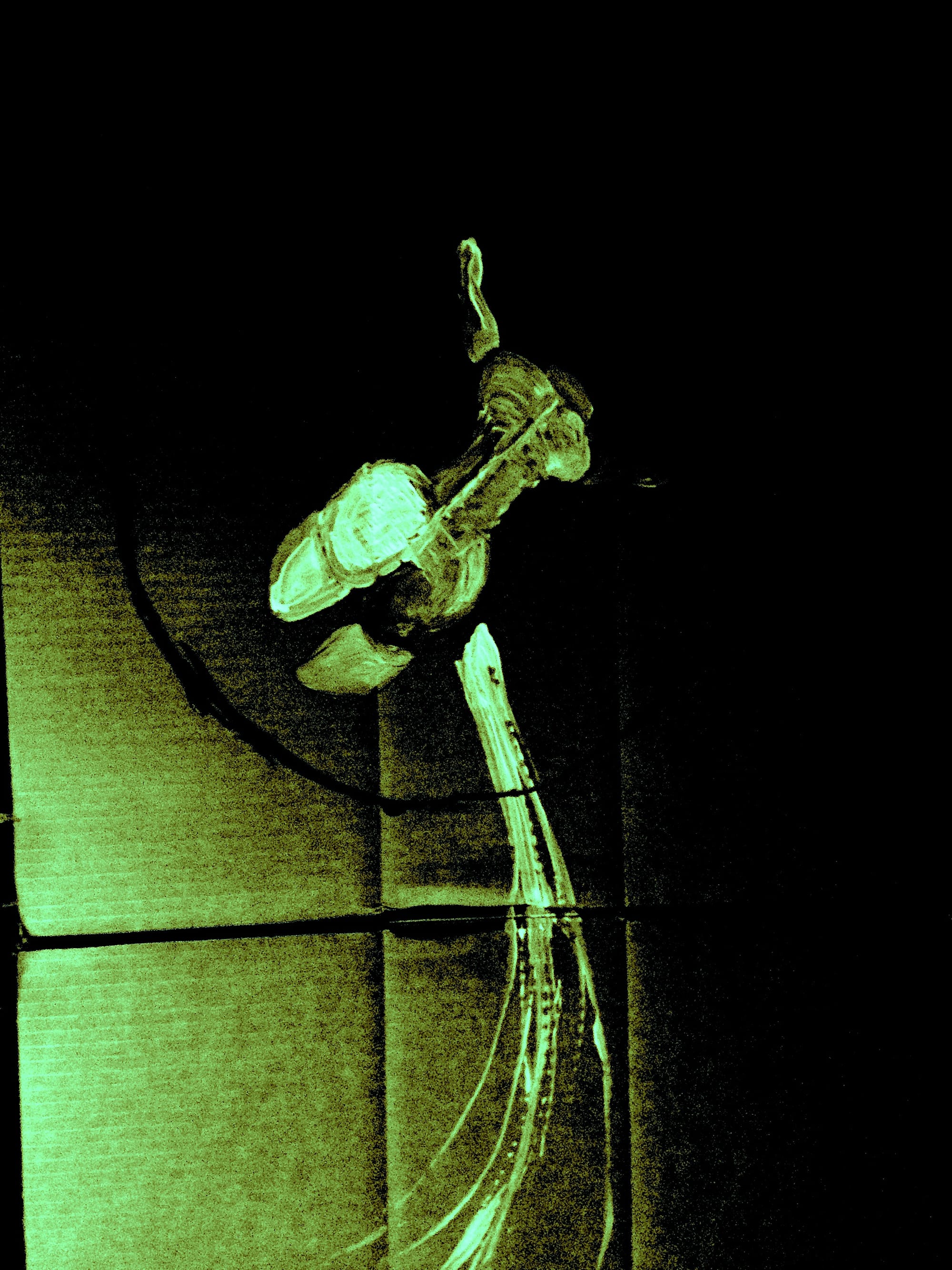 Minotaur - Johnny Pulp and the Lemonheads