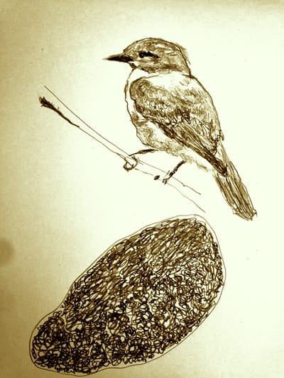 Garden Of Earthly. A Novel.