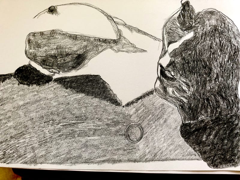 Truth in a World of Post Truth : 1