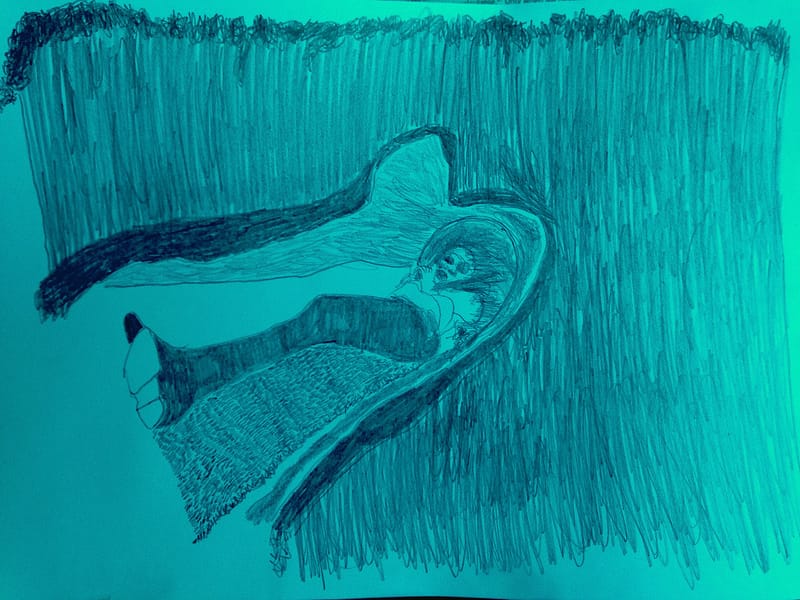 How To Read Moby Dick