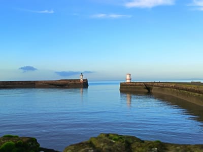 Temporary designation for fish landings