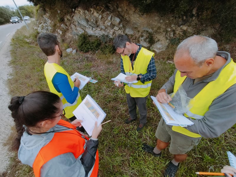 Formation "Geology for non-geologists"