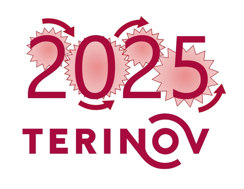 Terinov vous souhaite une Excellente Année 2025 !
