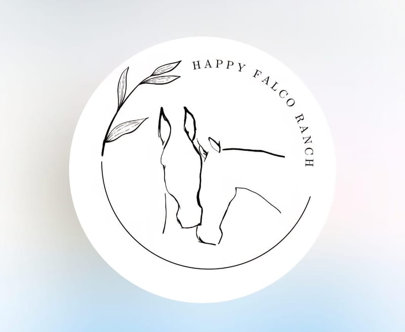 MANEGGIO        ASD Happy Falco Ranch