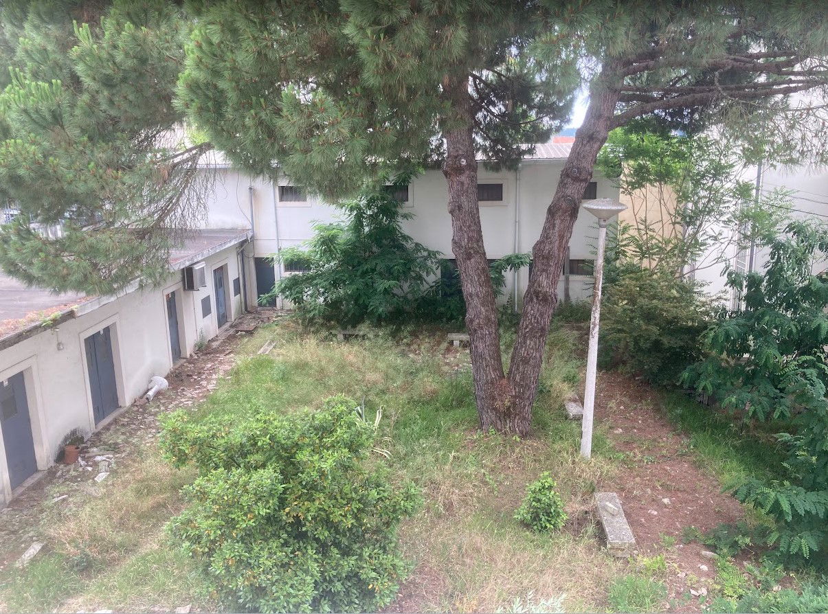 Situação dos Edifícios do Centro de Saúde de Celas - Resposta Câmara Municipal de Coimbra