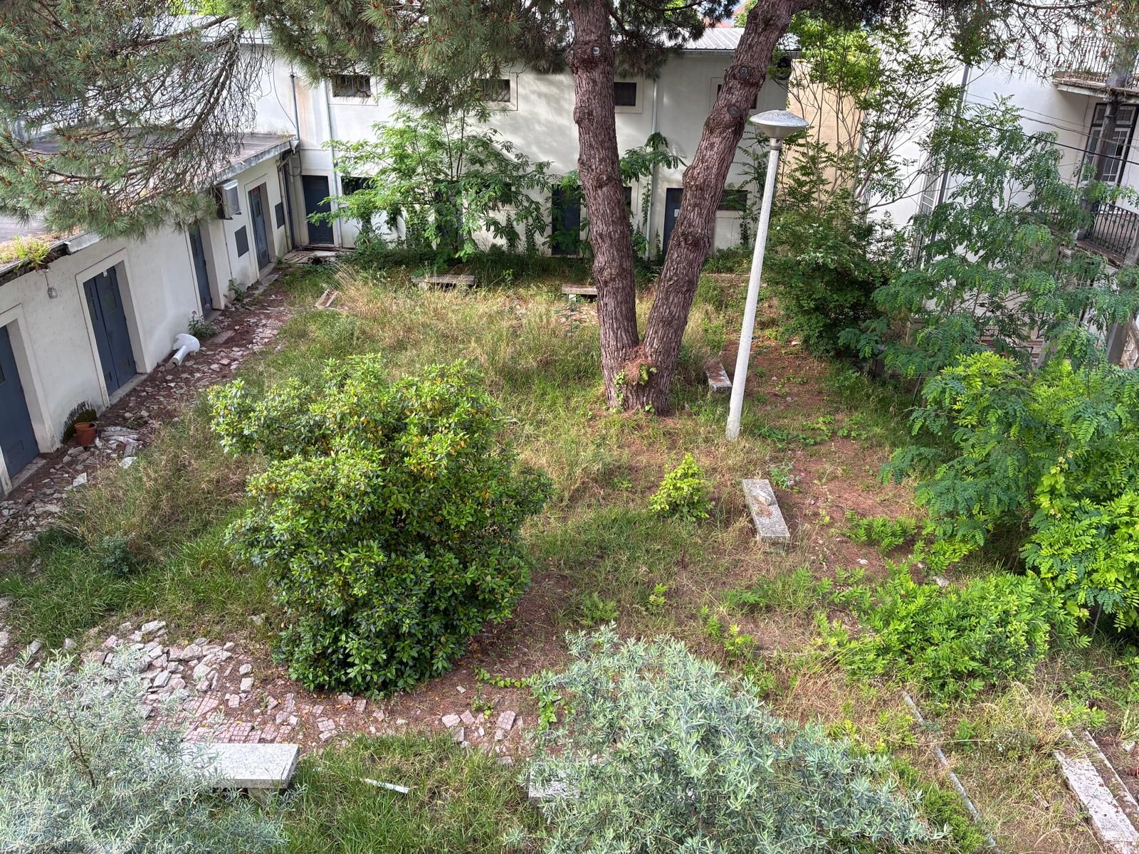 Centro de Saúde de Celas - Plano de intervenção imediato?