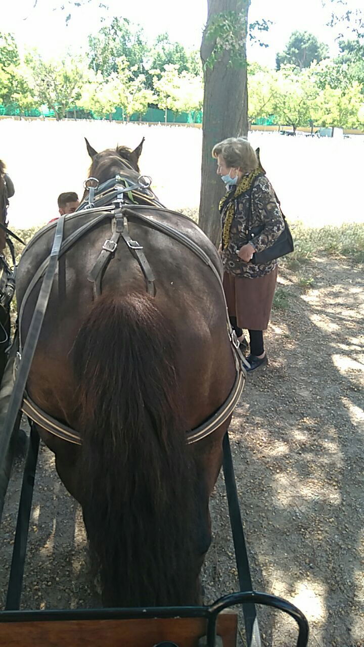 La María amb 96 anys ens acompanya al Parc de Catalunya