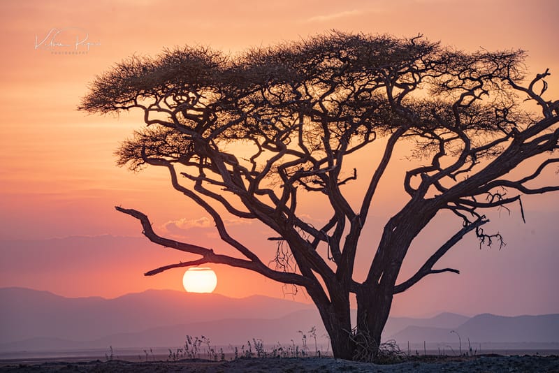 Private Conservancy Experiences