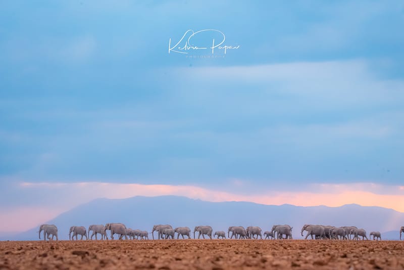 Private Conservancy Experiences
