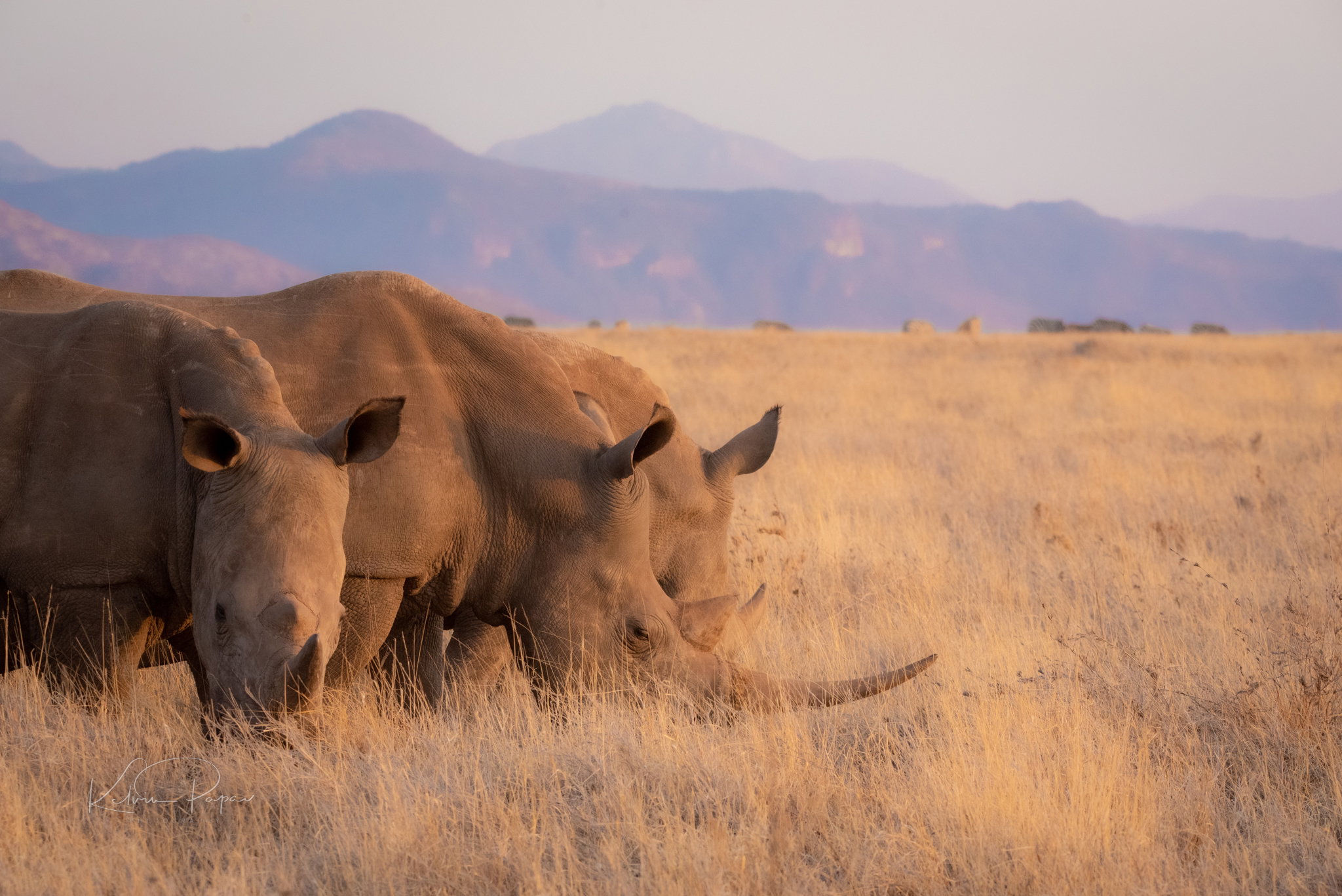 Big Five Experience