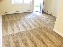 Now Offering Carpet Cleaning!