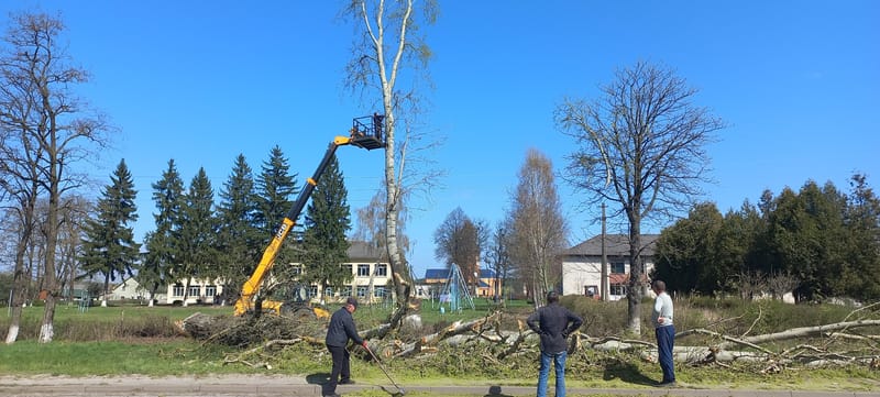 Благоустрій у Берегівська Гімназія