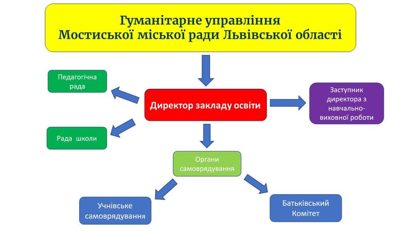 Структура та органи управління Берегівської гімназії