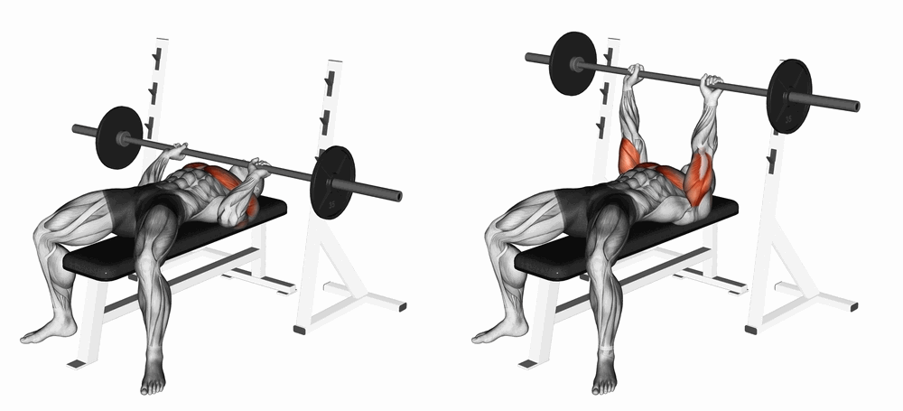 Close Grip Bench Press