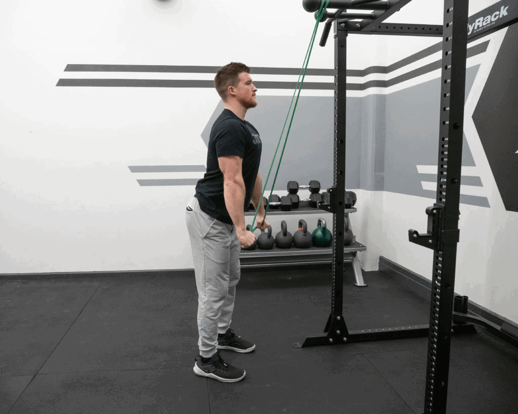 Triceps Pushdown Exercise Guide