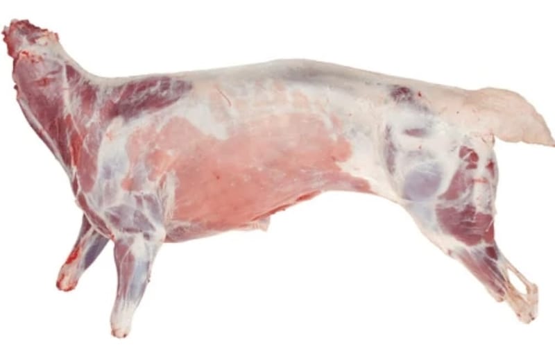Raw Lamb Meat
