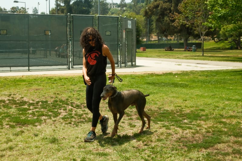 TRAINING