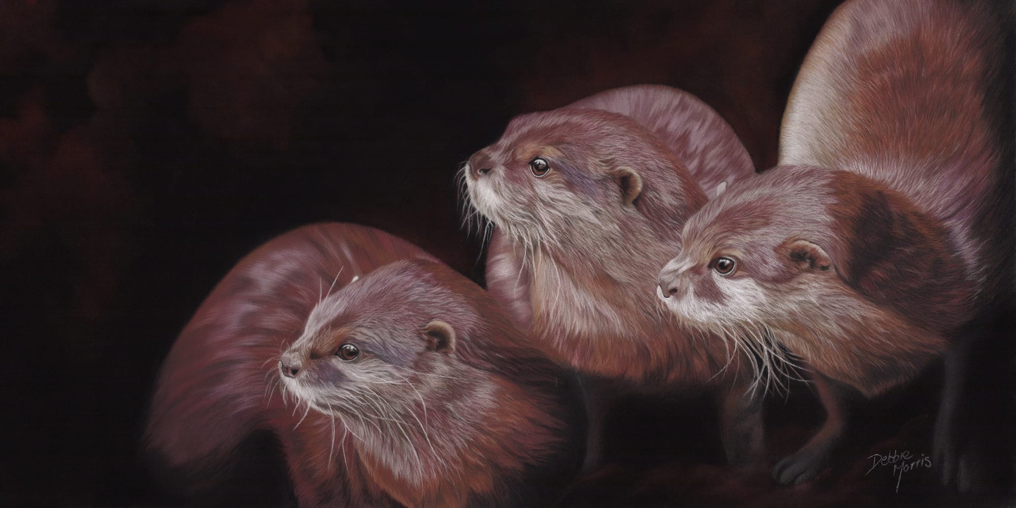 Otters