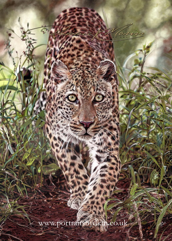 On the Catwalk
