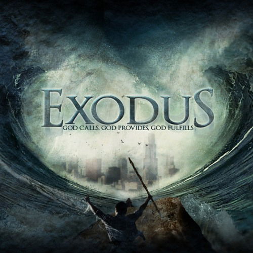 Online Ladies Bible Study