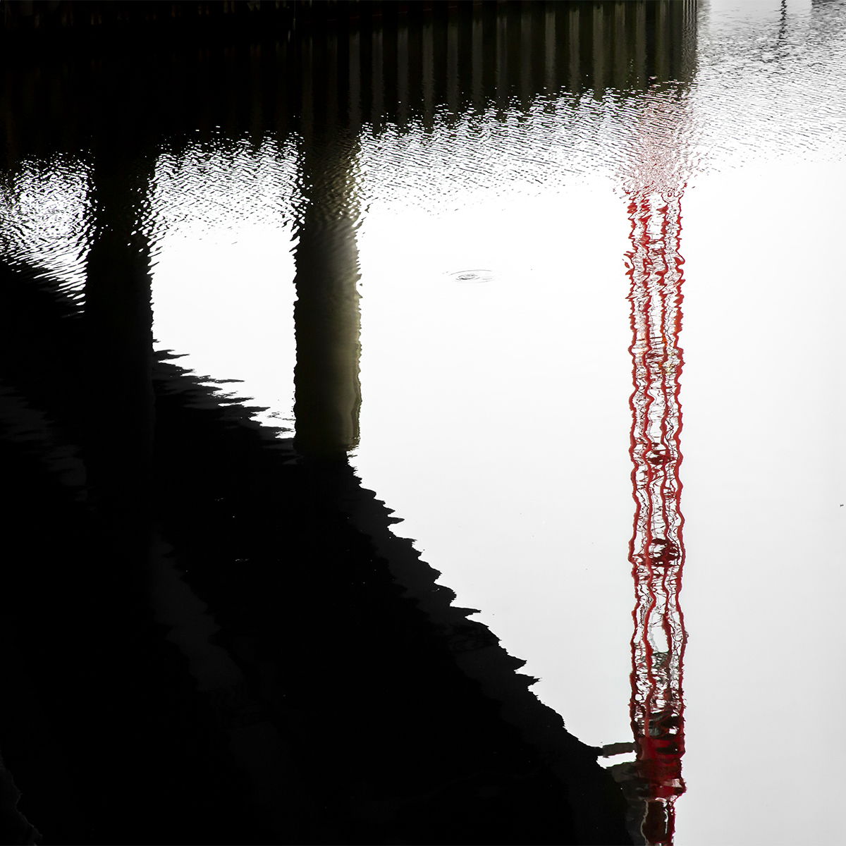 River Reflection