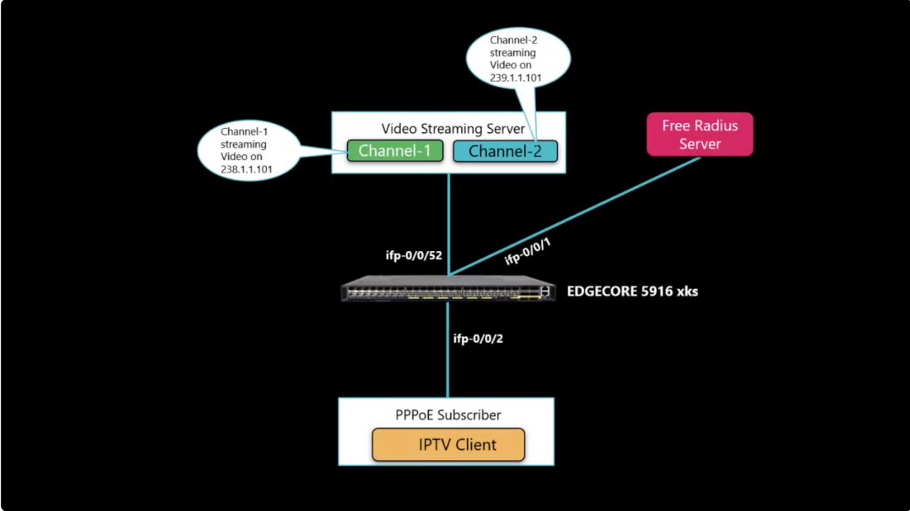 IPTV Service in action on a software BNG