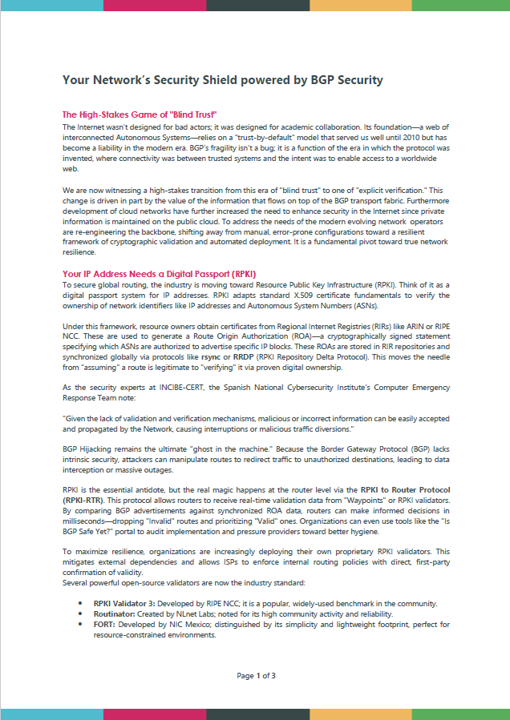 Your Network’s Security Shield powered by BGP Security