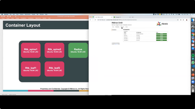 RtBrick BNG Routing Software Daemon Walk-through