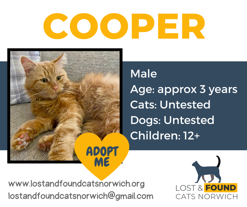 Cooper
