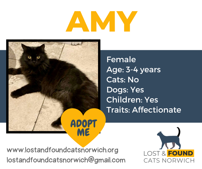 Amy