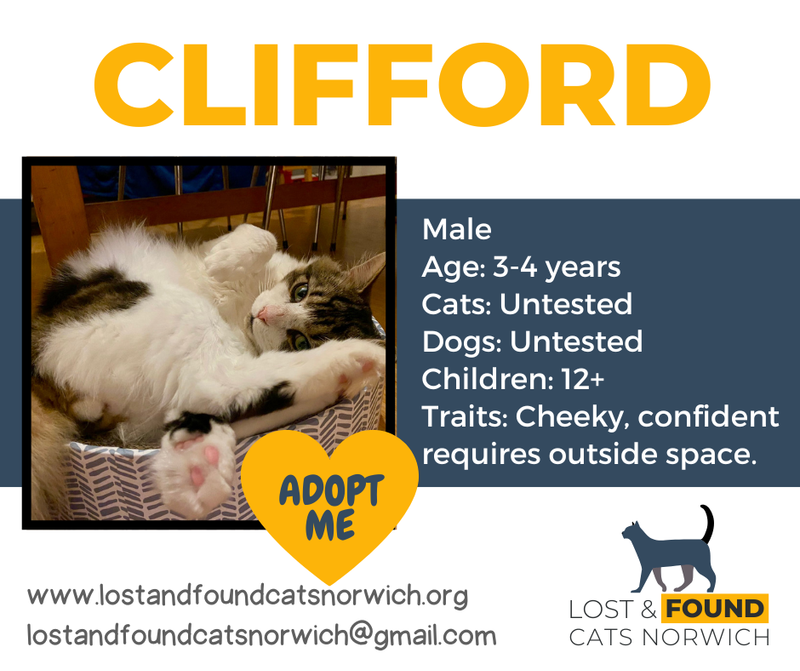 Clifford