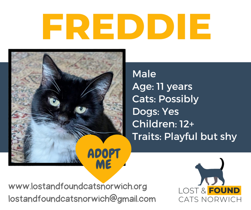 Freddie