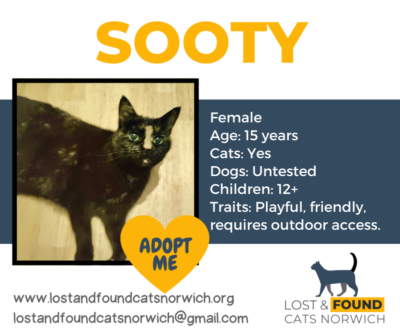 Sooty