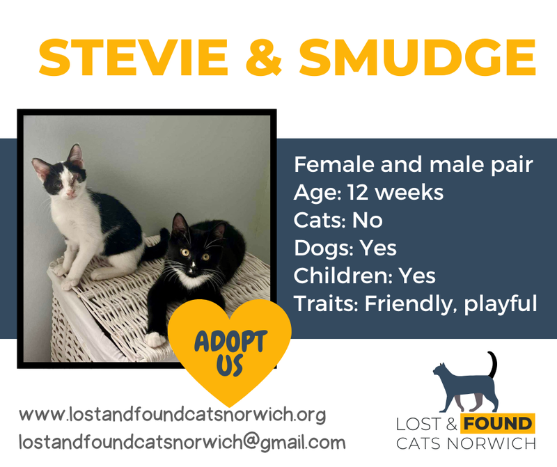 Stevie & Smudge