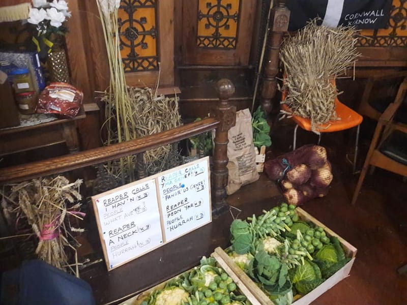 Harvest Celebration.