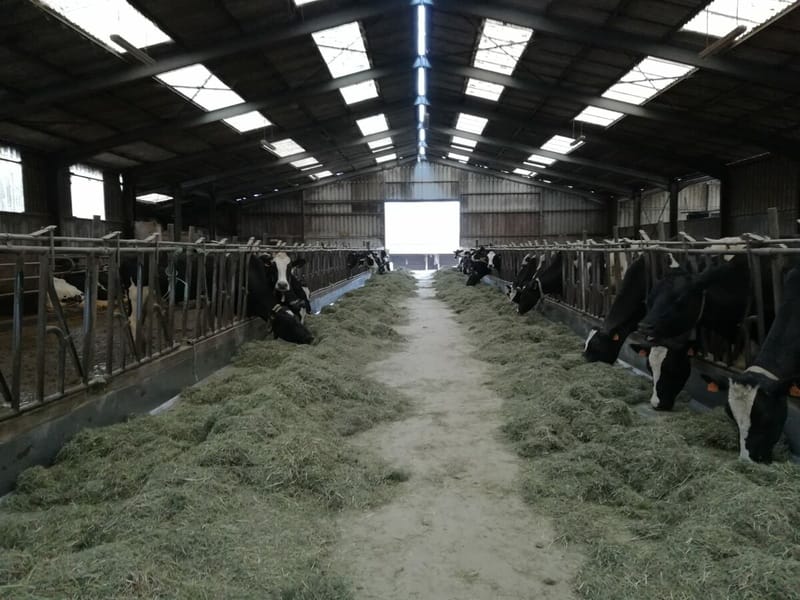 Intérêt du séchage