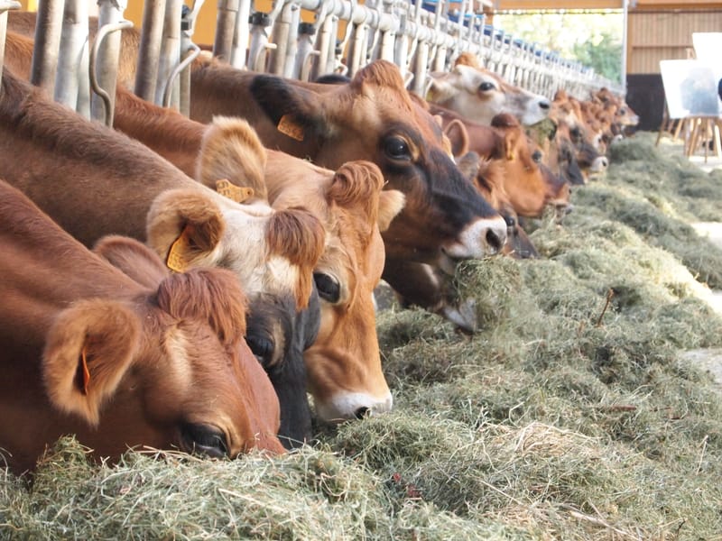 Le SEGRAFO, c'est quoi ?